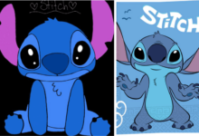 Stitch