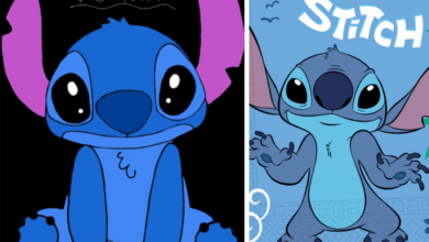 Stitch