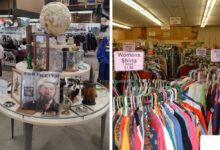 Thrift Store Treasures